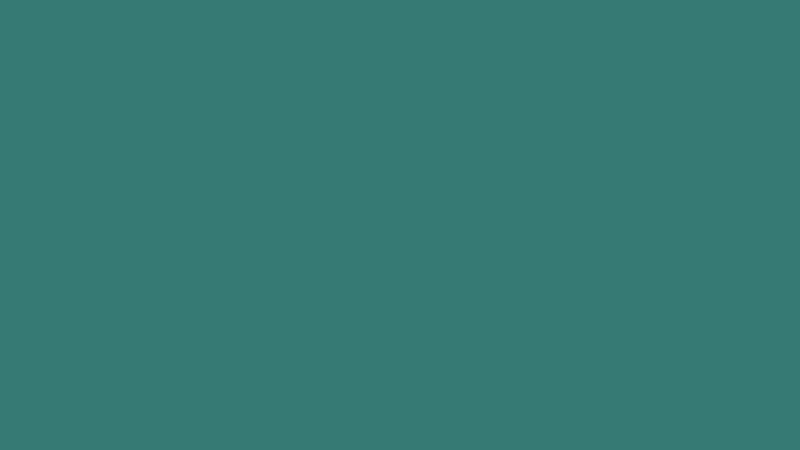 #367A74 color image