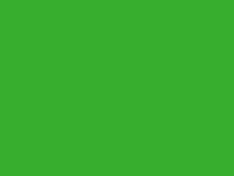 #37AE2E color image