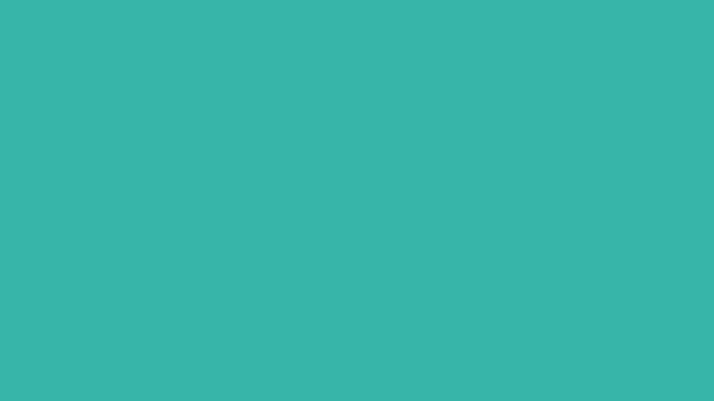 #37B5A9 color image