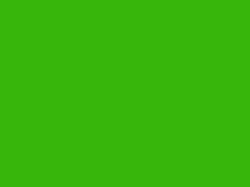 #37B60B color image