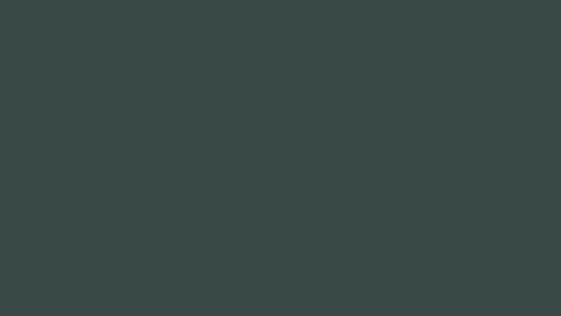 #394A46 color image