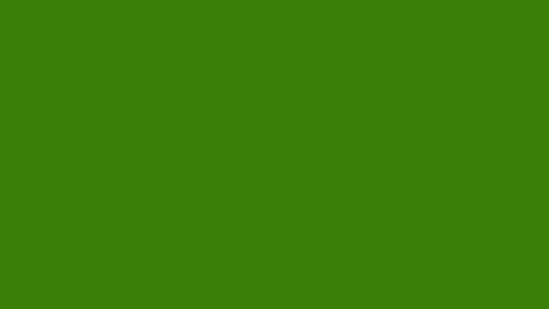 #3A8008 color image