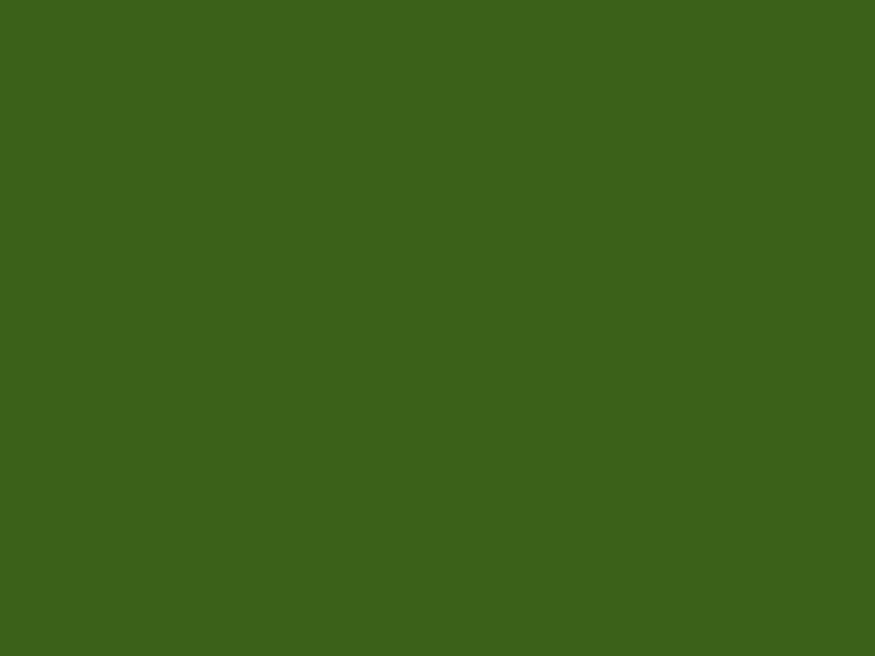 #3B6119 color image