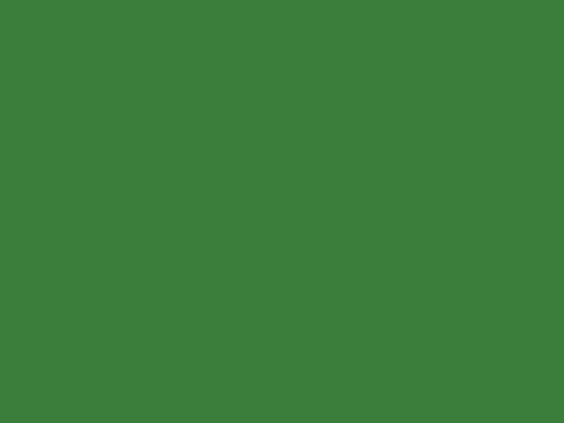 #3B7D3A color image