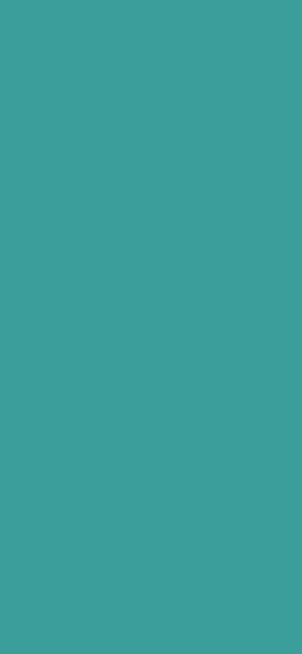 #3B9E9A color image