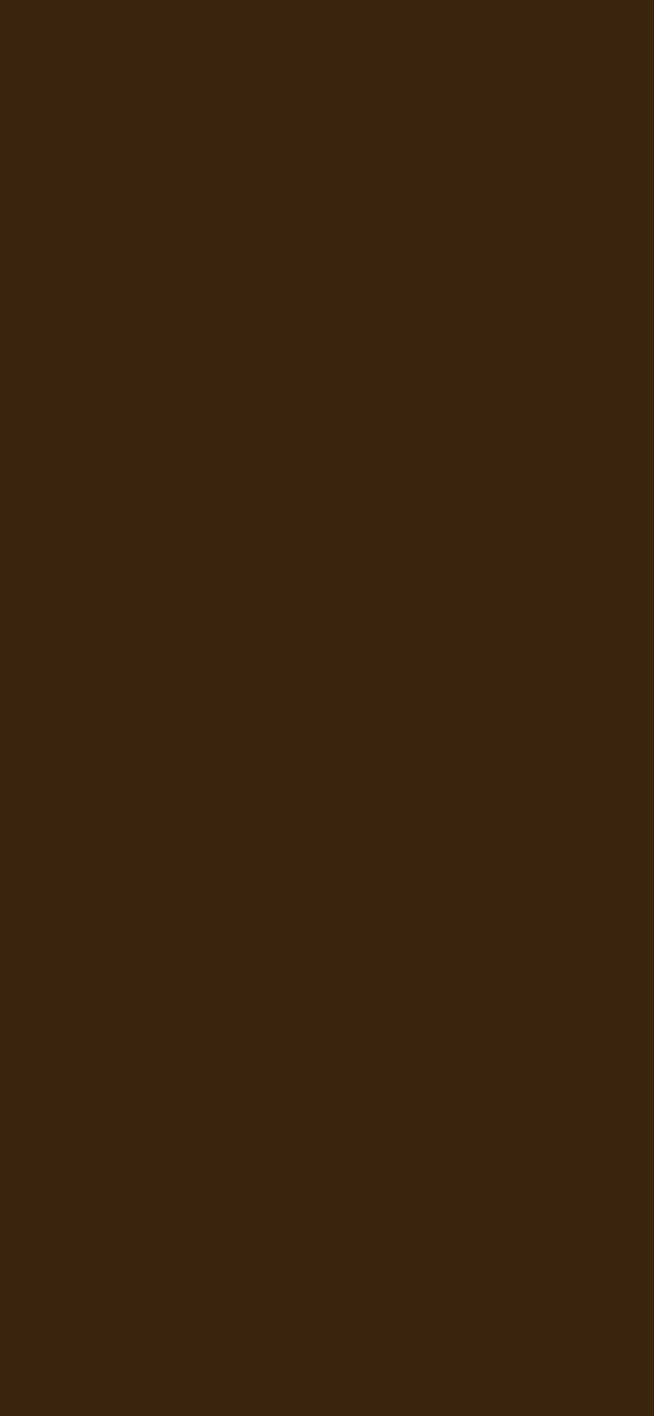 #3C250F color image