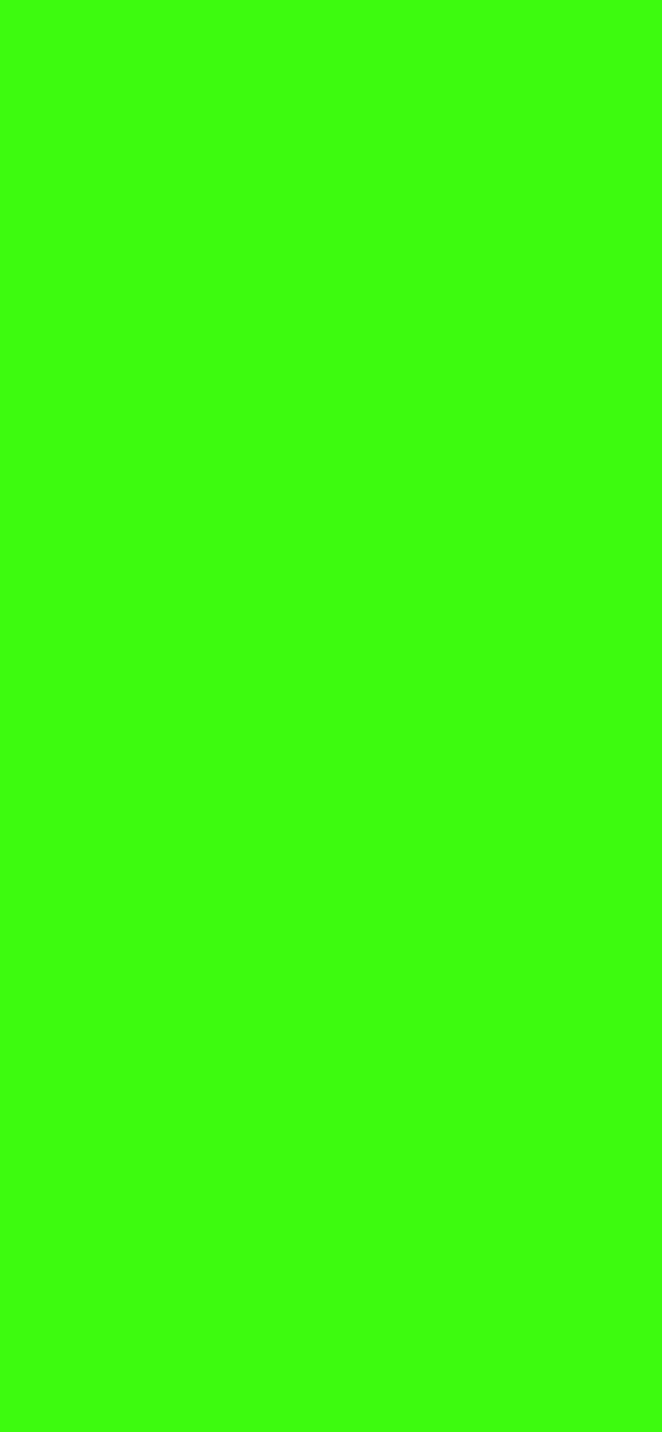 #3DFB0F color image