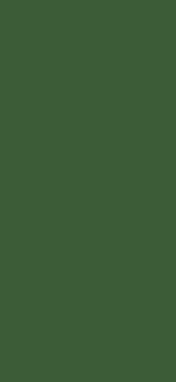 #3E5C39 color image