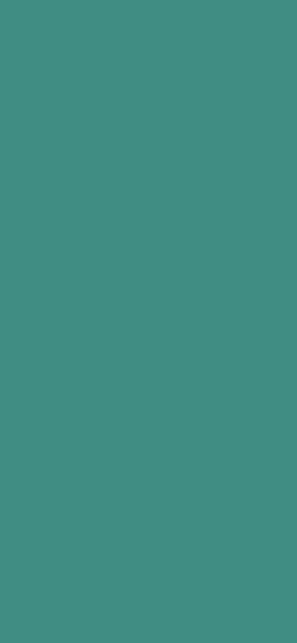 #3F8D83 color image