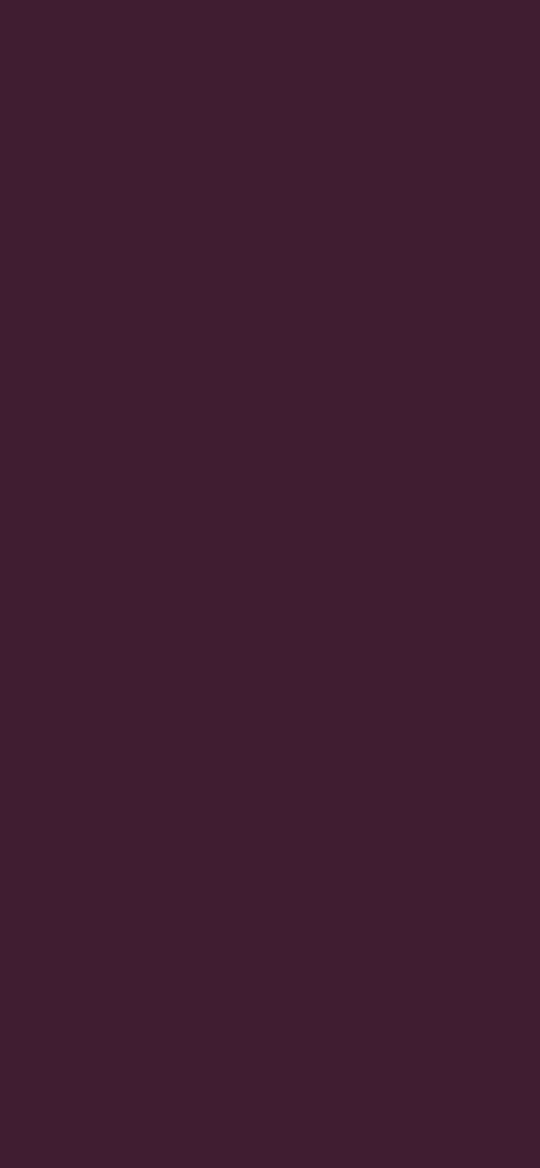 #401D31 color image