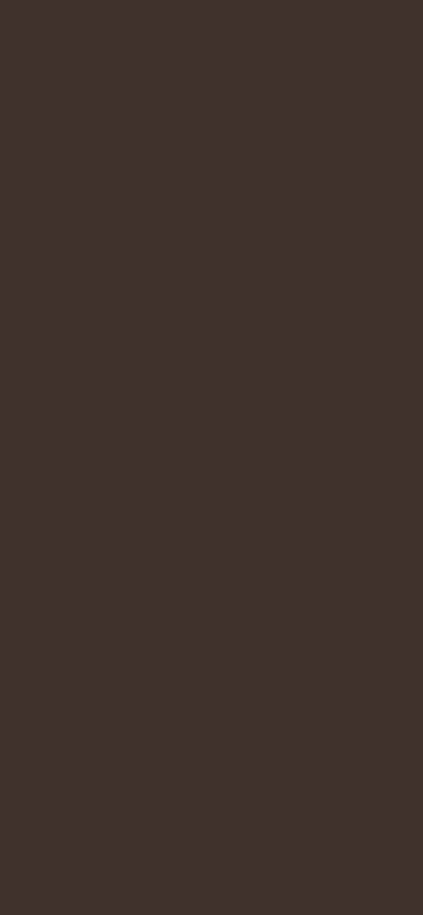 #40322C color image
