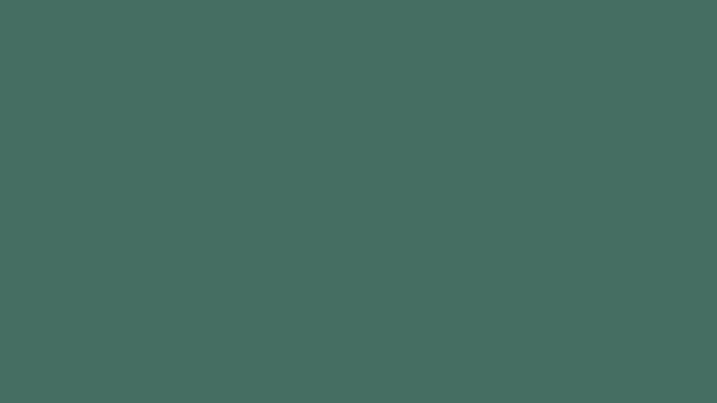 #456E62 color image
