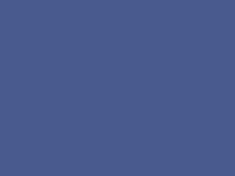 #495A8E color image