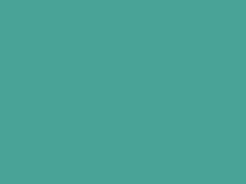 #49A397 color image