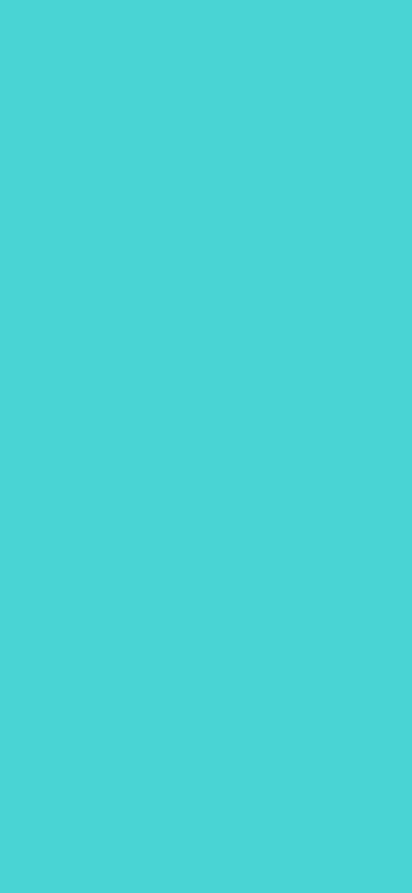 #49D4D4 color image