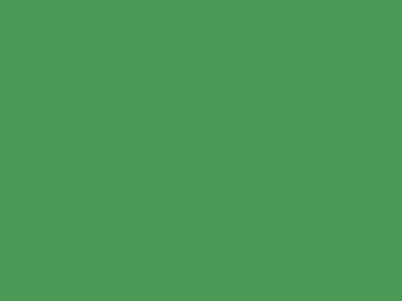 #4A9956 color image