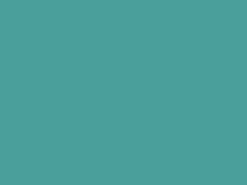 #4A9F9B color image