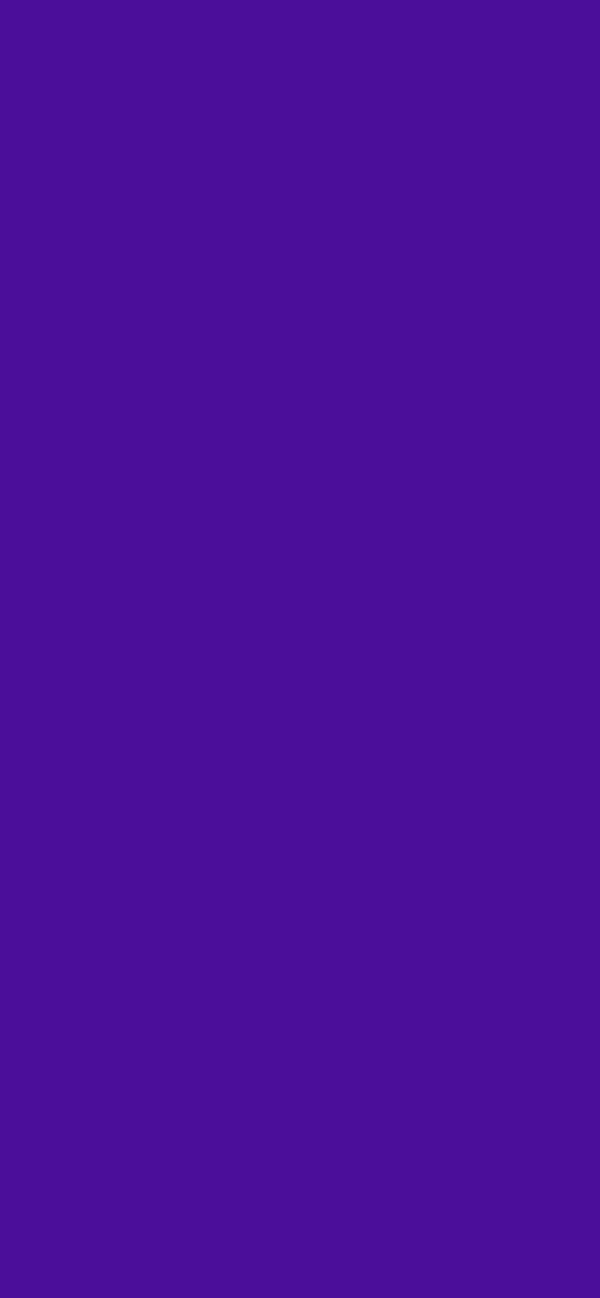 #4B0E9A color image