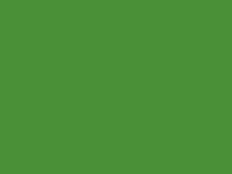 #4B9137 color image