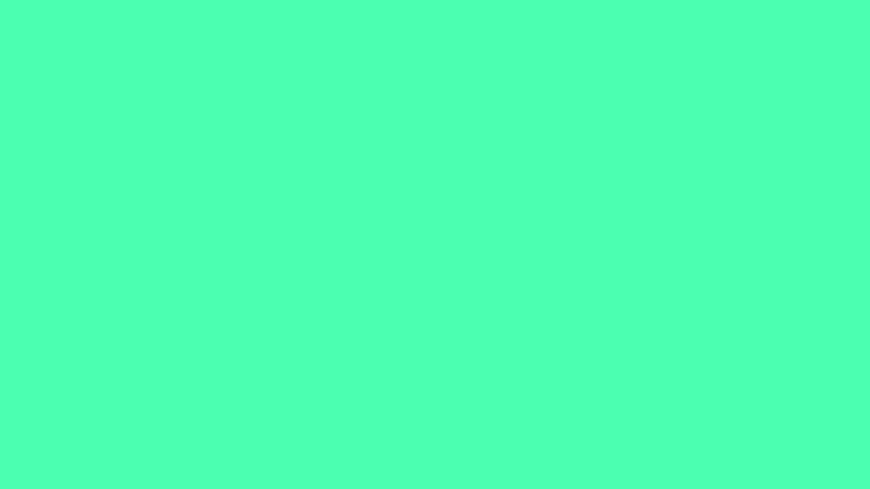 #4BFFB1 color image