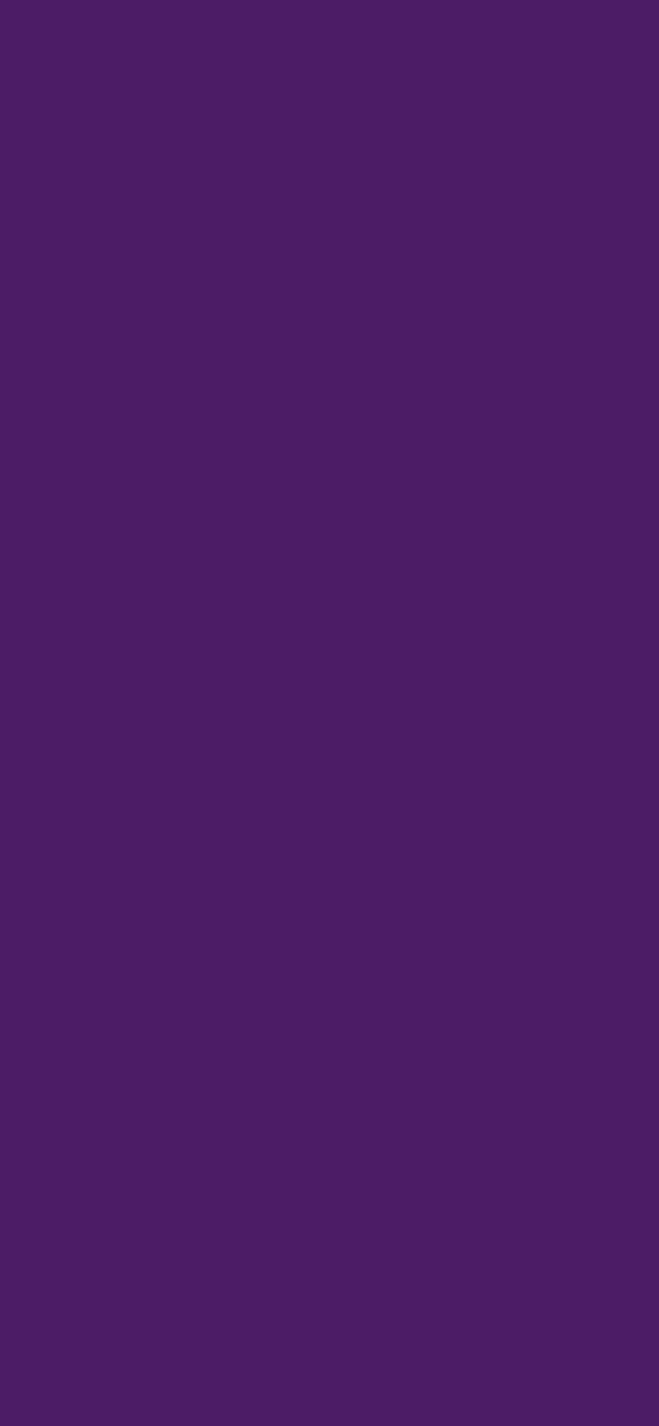 #4C1D65 color image