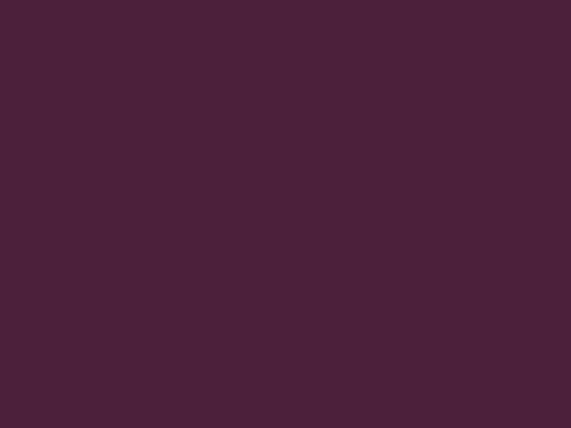 #4C203B color image