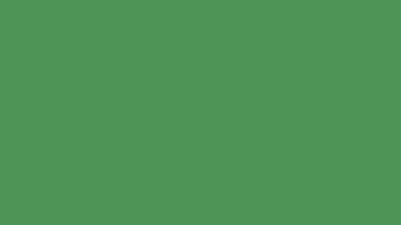 #4E9455 color image