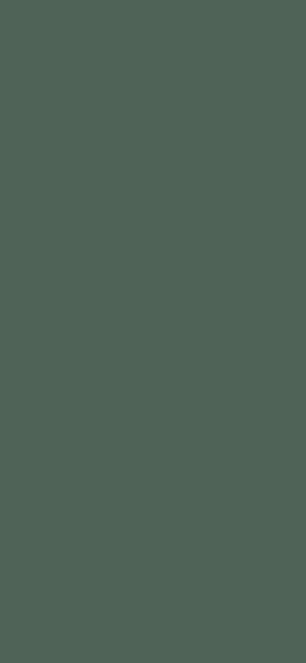 #4F6357 color image