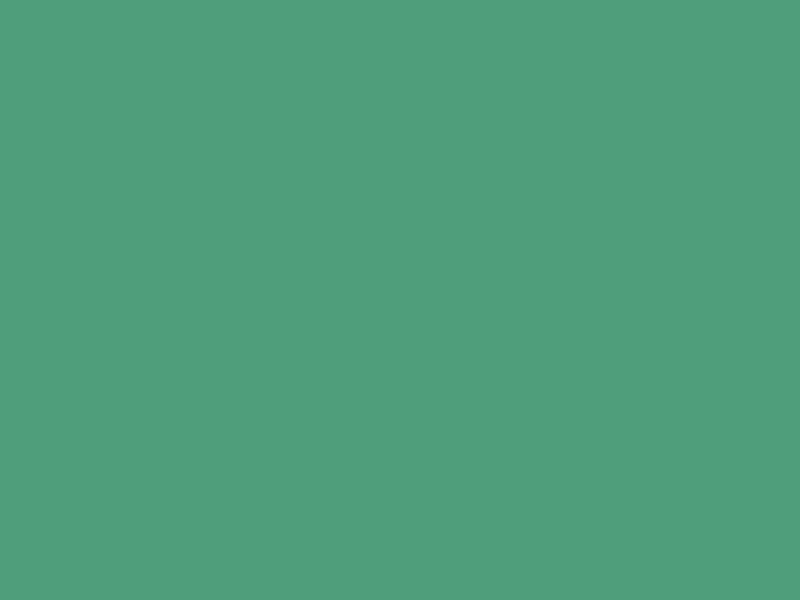 #4F9E7B color image