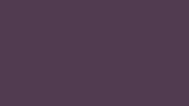 #503B50 color image