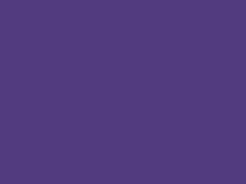 #533B80 color image