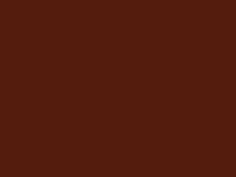 #541C0D color image