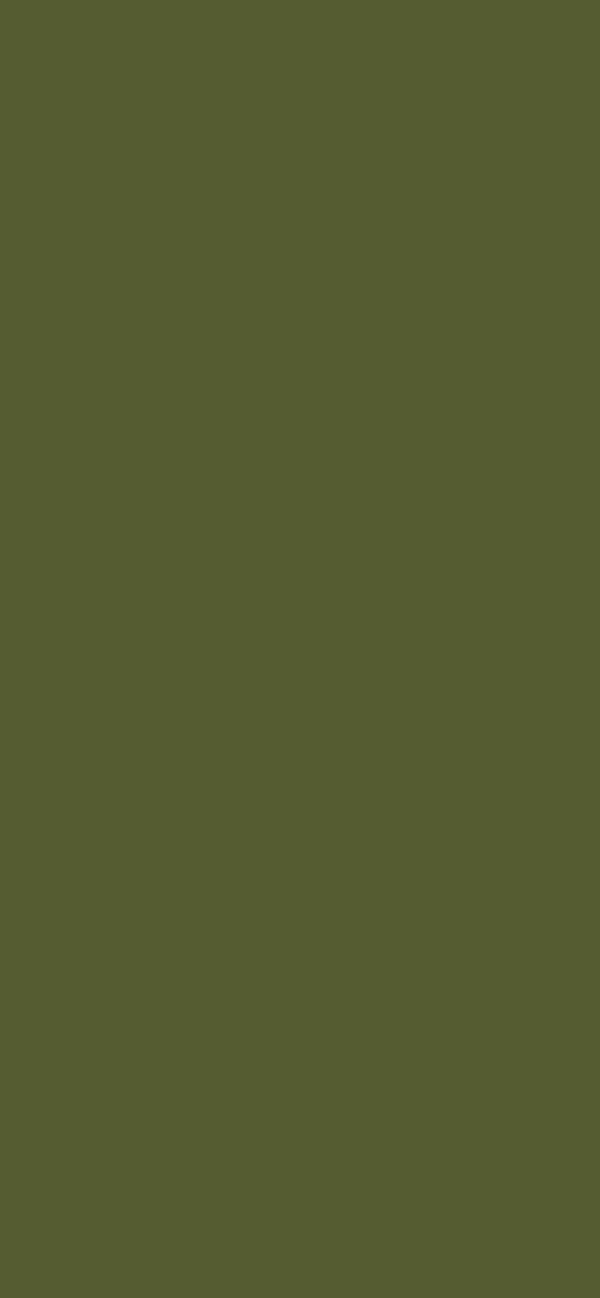 #555C31 color image