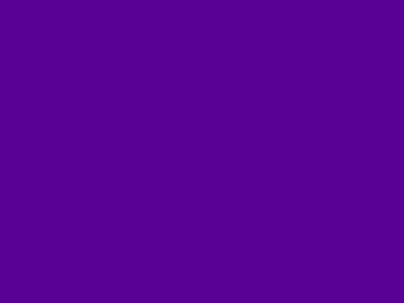 #5A0195 color image