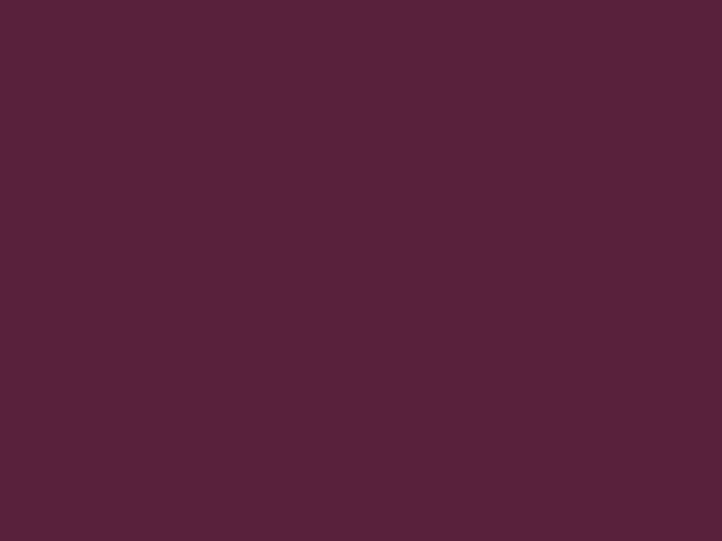 #5A213C color image