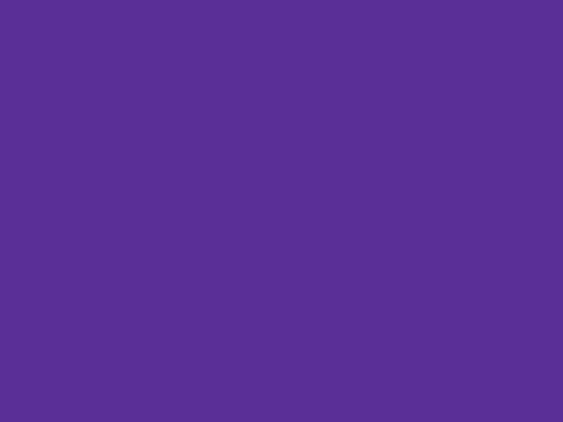 #5A2F97 color image