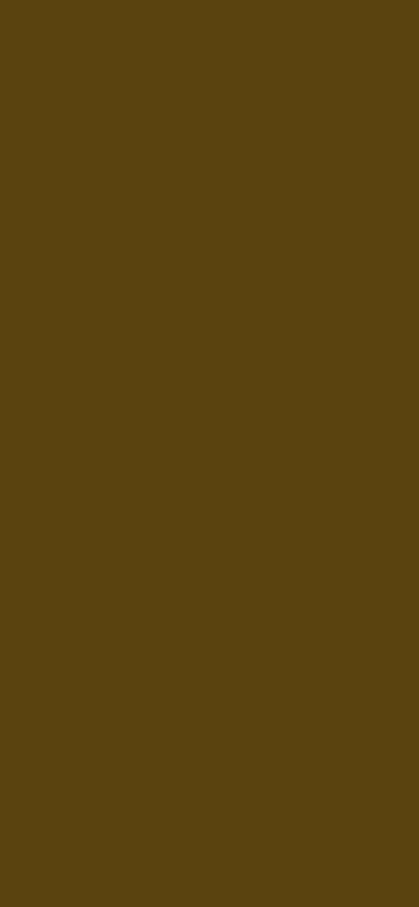 #5A430F color image
