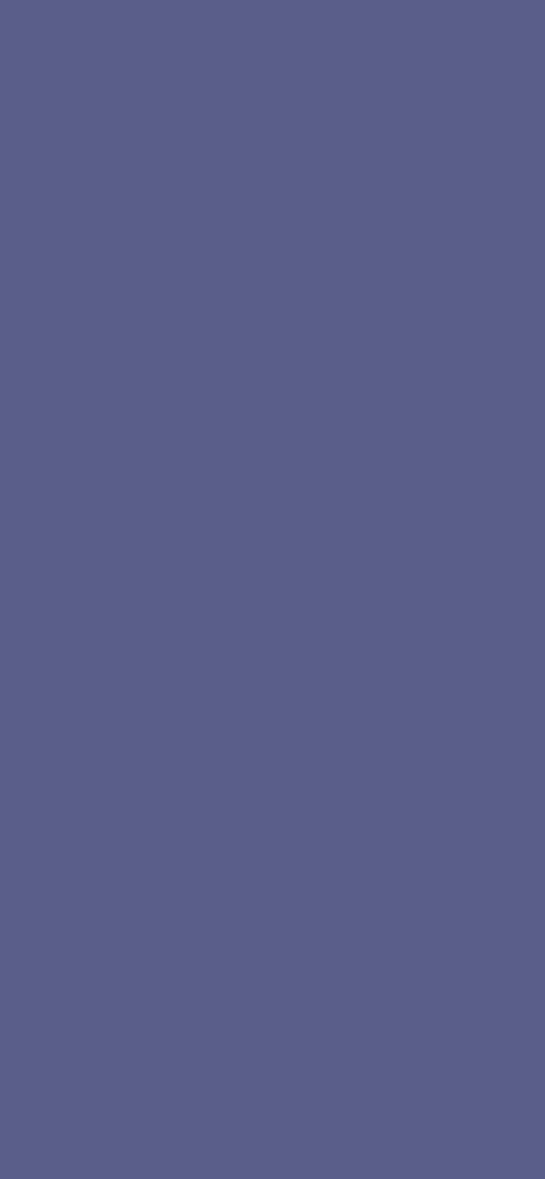 #5A5E8A color image