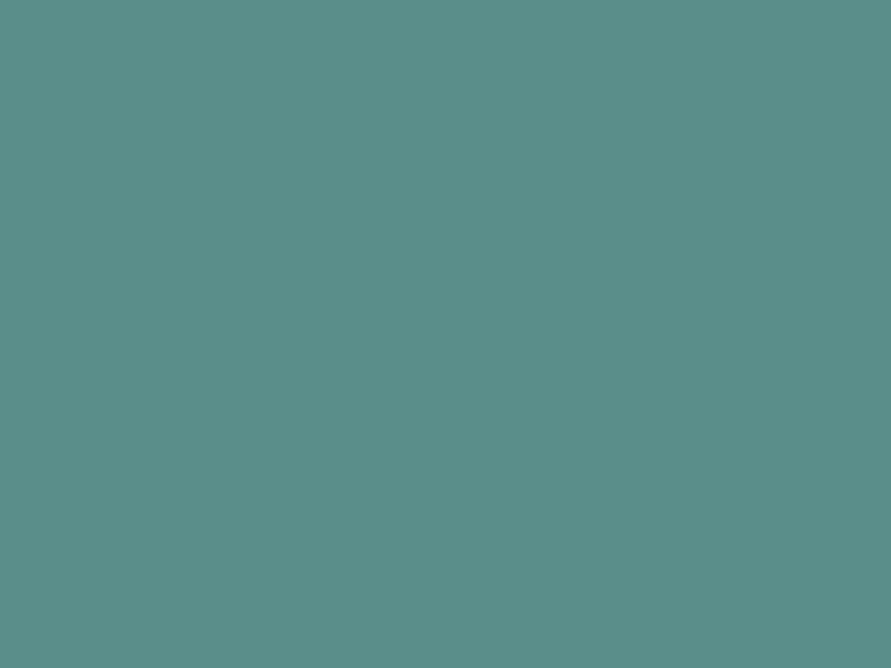 #5A8E8A color image