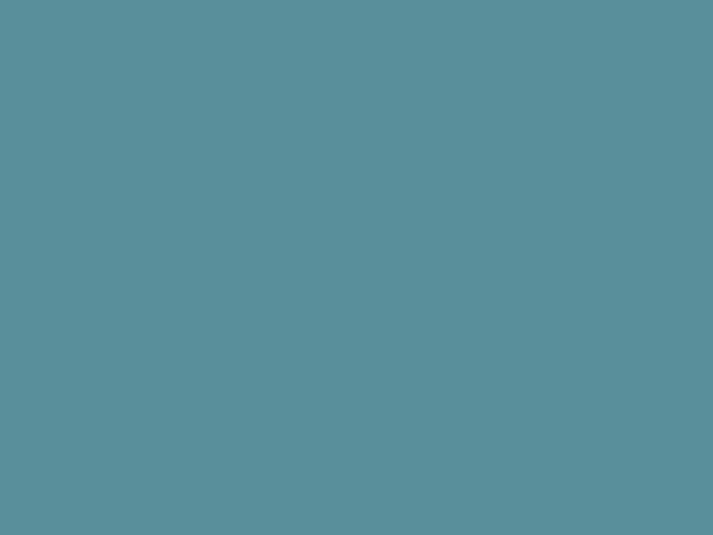 #5A8F9A color image