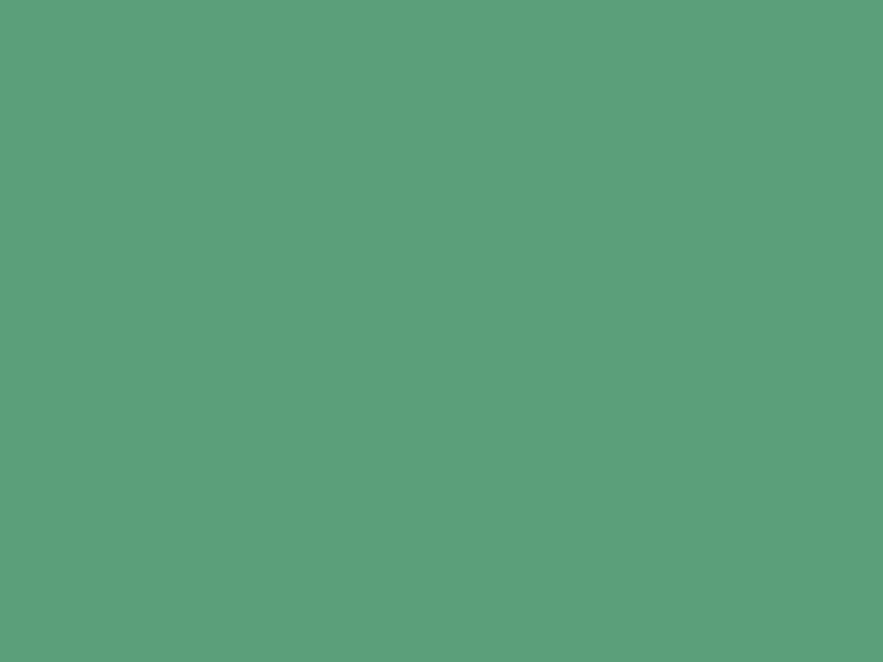 #5A9E7A color image