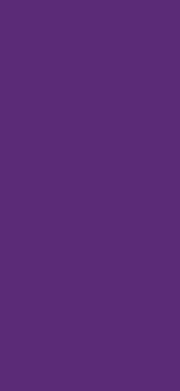 #5B2B75 color image