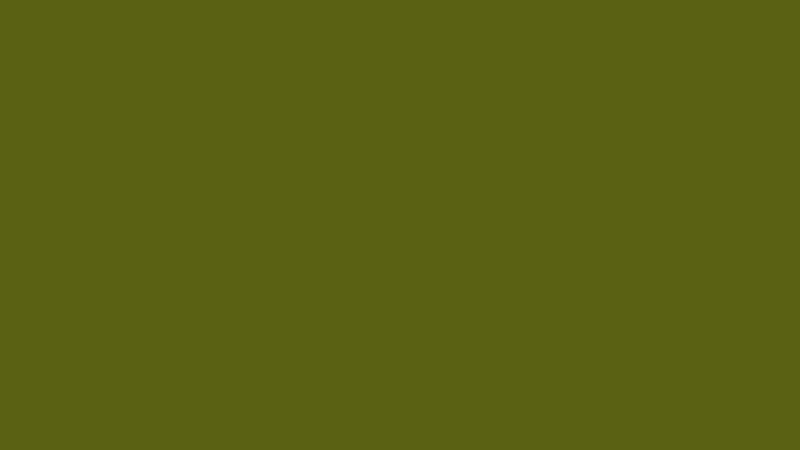 #5B6113 color image