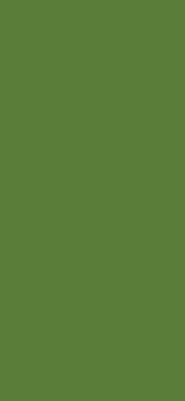 #5B7D3A color image