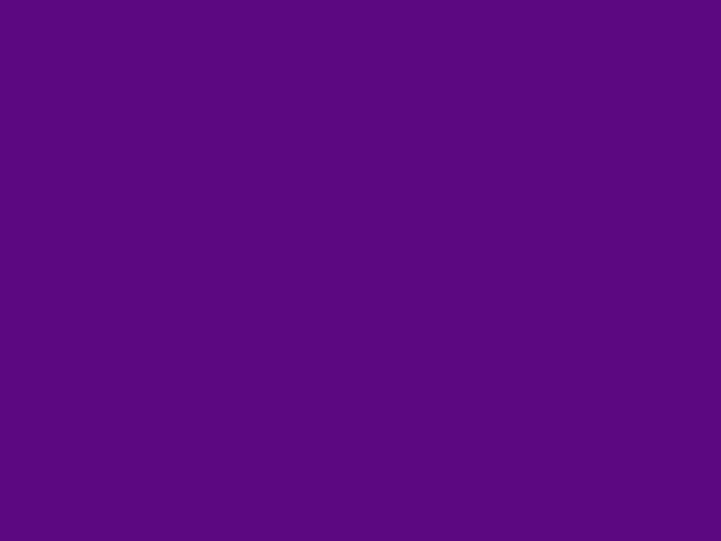 #5C0881 color image