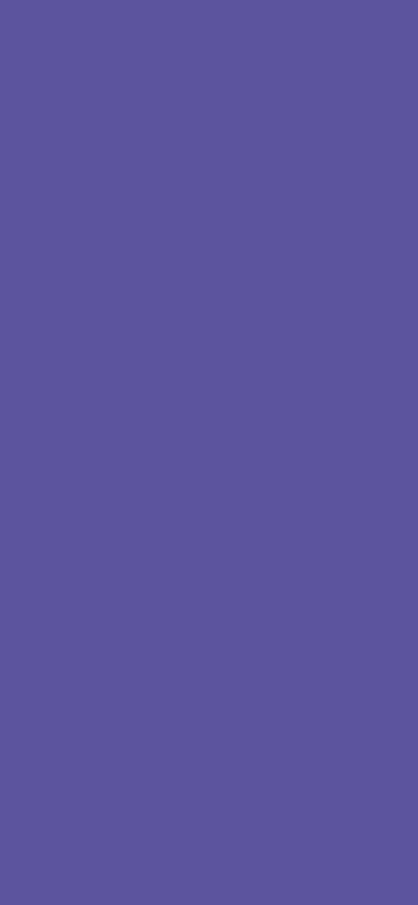 #5C549E color image