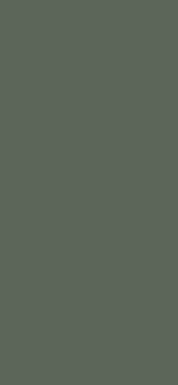 #5C6659 color image