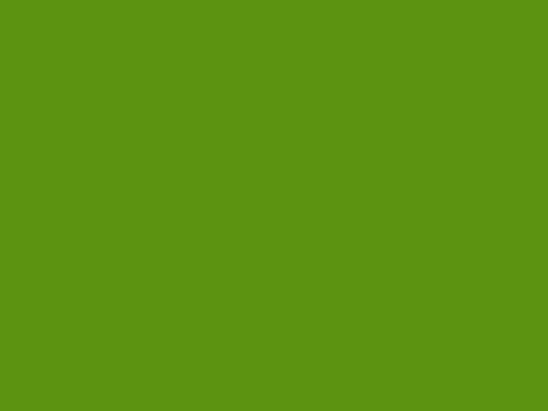 #5C9311 color image