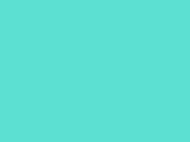 #5CE0D1 color image