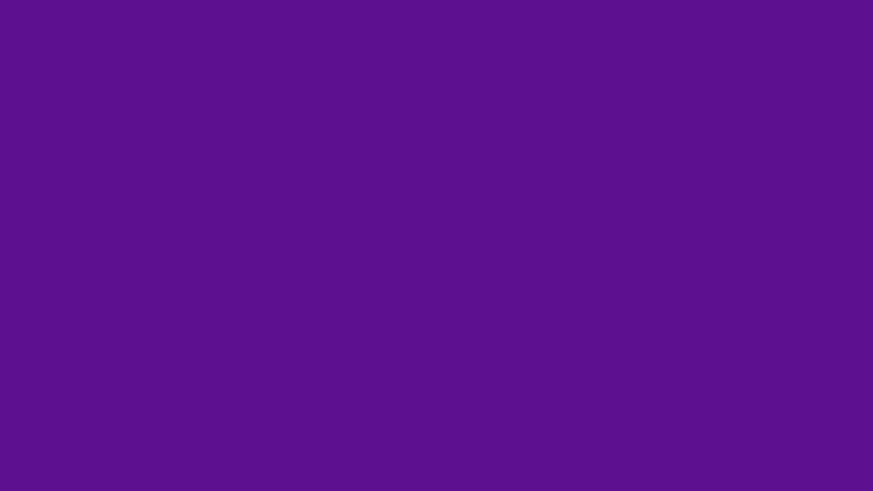 #5D1190 color image